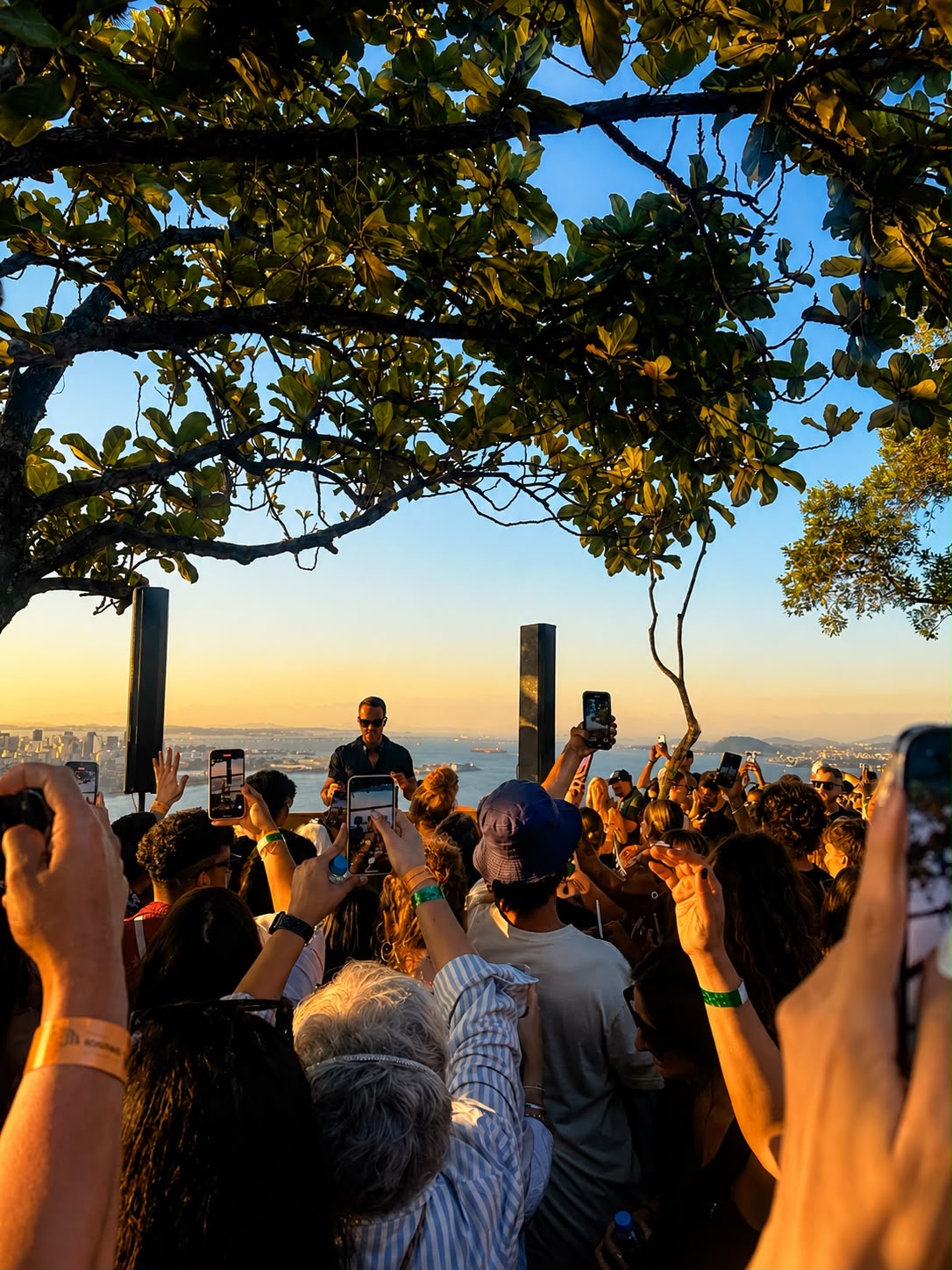 Sunset DJ party framed by trees